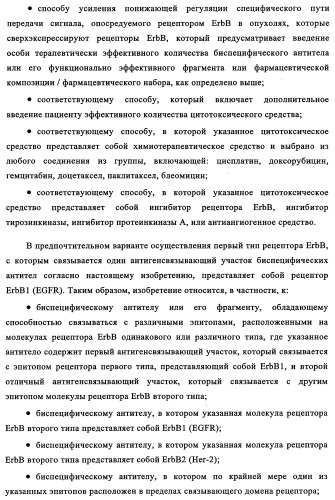 Биспецифические антитела к erb-b и их применение для лечения опухолей (патент 2349340)
