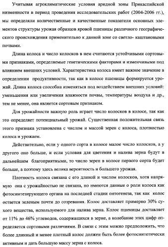 Способ возделывания яровой пшеницы предпочтительно в зоне светло-каштановых почв нижнего поволжья (варианты) (патент 2348137)