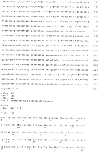 Pscaxcd3, cd19xcd3, c-metxcd3, эндосиалинxcd3, epcamxcd3, igf-1rxcd3 или fap-альфаxcd3 биспецифическое одноцепочечное антитело с межвидовой специфичностью (патент 2547600)