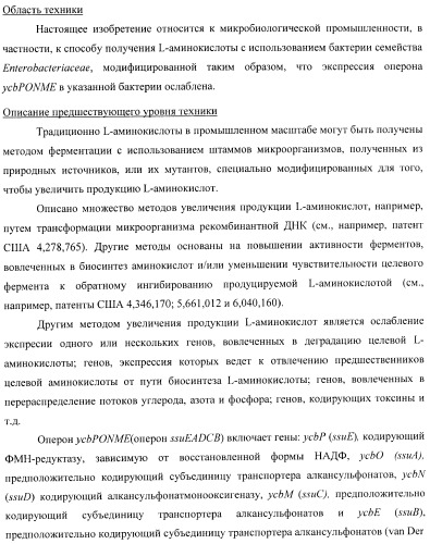 Способ получения l-треонина с использованием бактерии, принадлежащей к роду escherichia, в которой инактивирован оперон ycbponme (оперон ssueadcb) (патент 2392326)