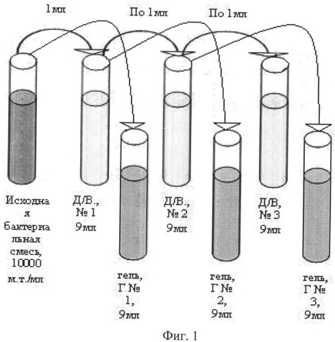 Экспериментальный способ уничтожения патогенных и условно-патогенных микроорганизмов (патент 2500430)