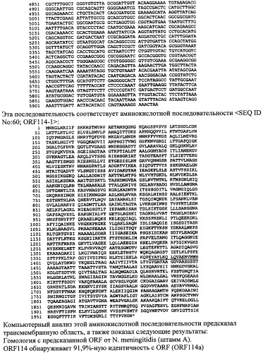 Антигены neisseria meningitidis (патент 2343159)