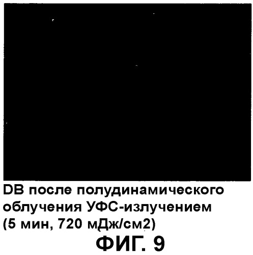 Композиция, содержащая частицы hcmv (патент 2505314)