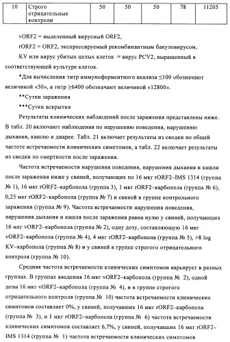 Поливалентные иммуногенные композиции pcv2 и способы получения таких композиций (патент 2488407)