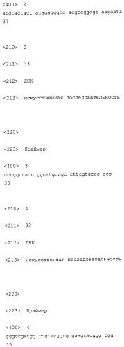 Способ идентификации ингибиторов или агонистов протеинкиназы irs (патент 2340898)