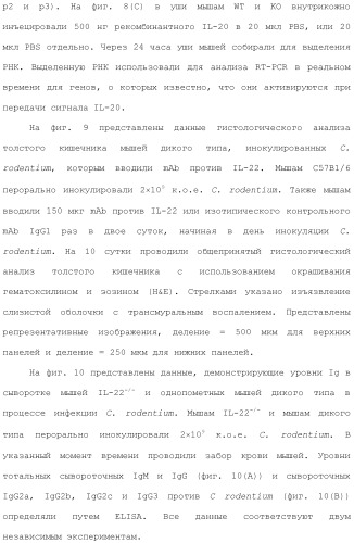 Применение противомикробного полипептида для лечения микробных нарушений (патент 2503460)