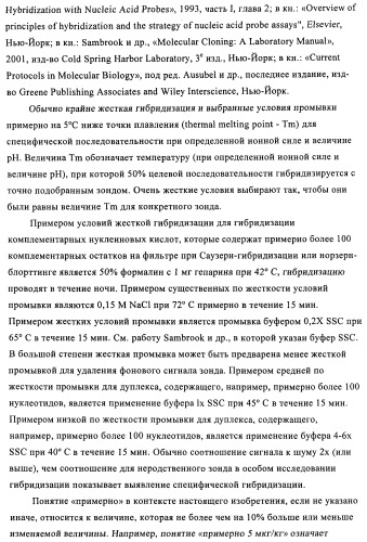 Способы и композиции для экспрессии антисмысловой вирусной рнк в клетках собаки (патент 2457250)