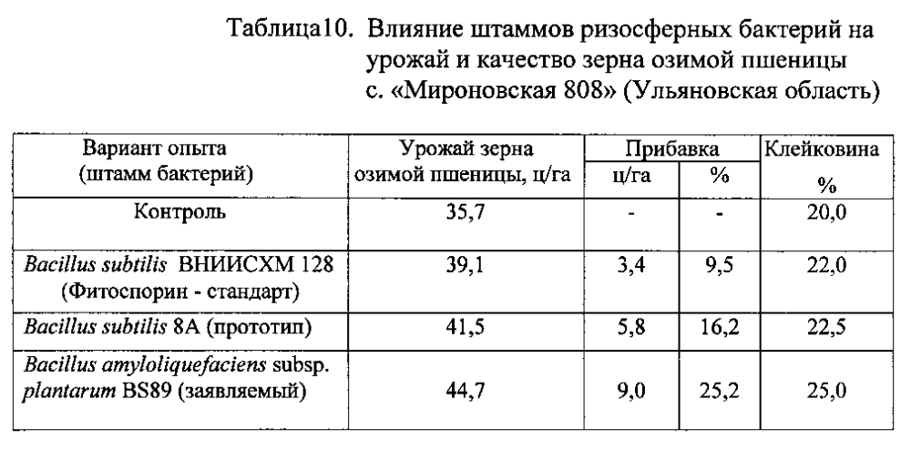 Штамм бактерий bacillus amyloliquefaciens subsp. plantarum bs89 в качестве средства повышения продуктивности растений и их защиты от болезней (патент 2599416)