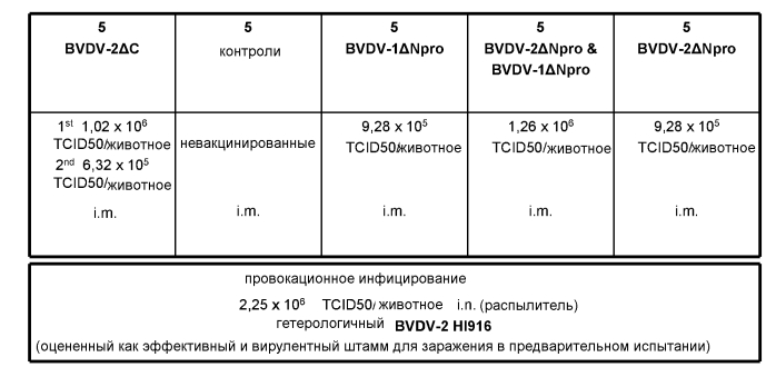 Bvdv-вакцина (патент 2578943)