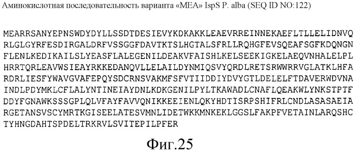 Варианты изопренсинтазы, применяемые для улучшения продуцирования изопрена микроорганизмами (патент 2516343)