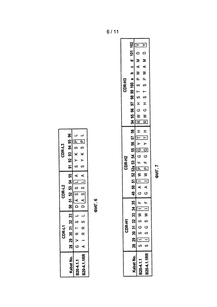 Антитела против фактора роста эндотелия сосудов (vegf) (патент 2639506)