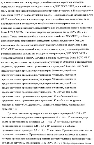 Поливалентные иммуногенные композиции pcv2 и способы получения таких композиций (патент 2488407)