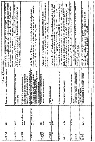 Гены corynebacterium glutamicum, кодирующие белки резистентности и толерантности к стрессам (патент 2303635)