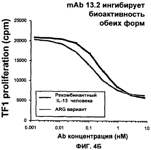 Антитела против интерлейкина-13 человека и их применение (патент 2427589)