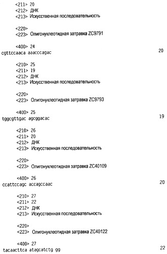 Новый лиганд рецептора цитокина zcytor17 (патент 2490276)