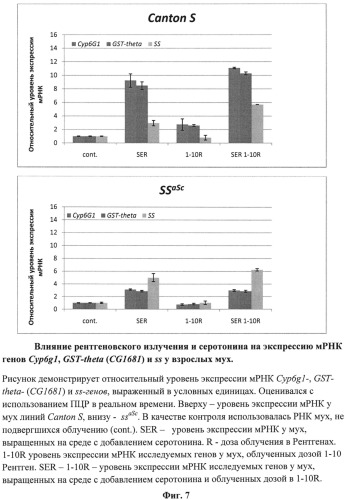 Способ оценки фармакологических и токсикологических свойств веществ - радио-, токсикопротекторов и радио-, токсикосенсибилизаторов (патент 2534822)