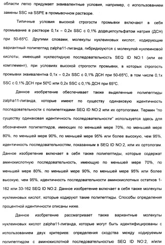 Выделенный полипептид, связывающий рецептор zalpha11-лиганда (варианты), кодирующий его полинуклеотид (варианты), вектор экспрессии (варианты) и клетка-хозяин (варианты) (патент 2346951)