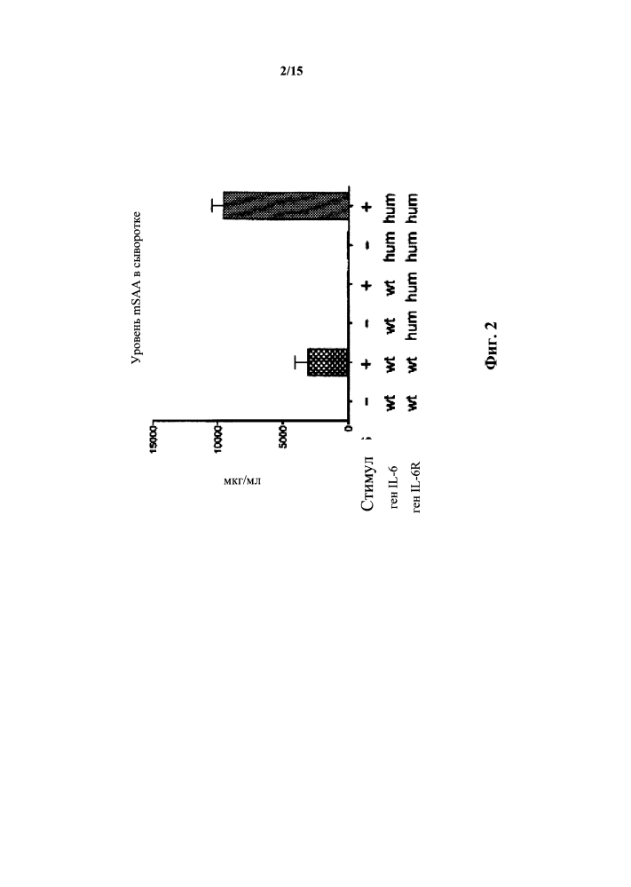 Гуманизированные il-6 и рецептор il-6 (патент 2634417)