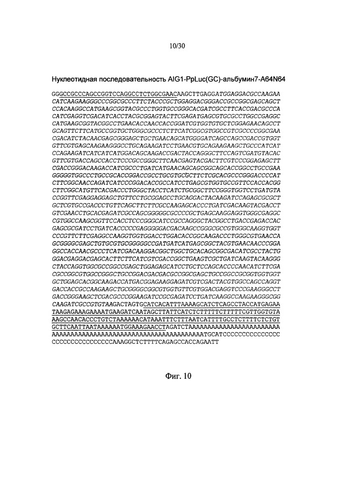 Молекулы искусственной нуклеиновой кислоты, содержащие 5'utr гена top (патент 2660565)