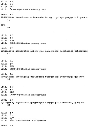 Антитело, обладающее селективностью по отношению к рецептору лиганда, индуцирующему апоптоз, ассоциированный с фактором некроза опухоли, и его использование (патент 2298013)