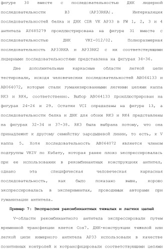 Антитела против вируса гепатита с (патент 2462475)