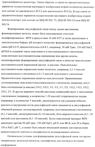 Вирусоподобные частицы, включающие гибридный белок белка оболочки бактериофага ар205 и антигенного полипептида (патент 2409667)