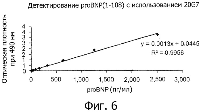 Новый эпитоп bnp (1-32) и антитела, направленные против указанного эпитопа (патент 2511033)