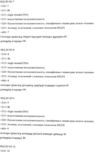 Аптамер, специфичный к опухолевым тканям легкого человека (патент 2528870)