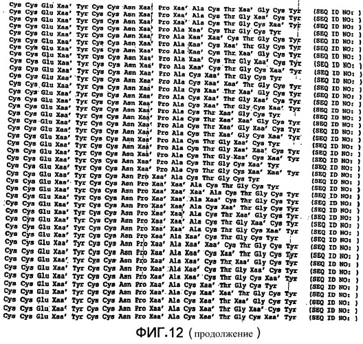 Полипептид для увеличения активности рецептора гуанилатциклазы, фармацевтическая композиция, способ лечения желудочно-кишечного расстройства у пациента, способ повышения активности рецептора гуанилатциклазы у пациента, способ лечения висцеральной боли, способ получения полипептида (варианты), изолированная молекула нуклеиновой кислоты, бактериальный вектор экспрессии и изолированная бактериальная клетка (патент 2433133)