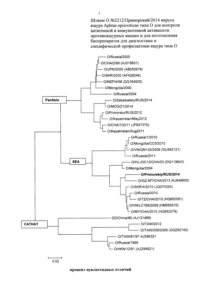 Штамм о n 2212/приморский/2014 вируса ящура aphtae epizooticae типа о для контроля антигенной и иммуногенной активности противоящурных вакцин и для изготовления биопрепаратов для диагностики и специфической профилактики ящура типа о (патент 2650768)
