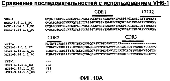 Антитела против моноцитарного хемоаттрактантного белка-1 (мср-1) и их применение (патент 2339647)