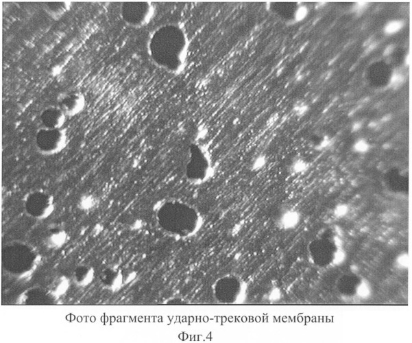 Устройство с идентификационным числовым номером (варианты) (патент 2421816)