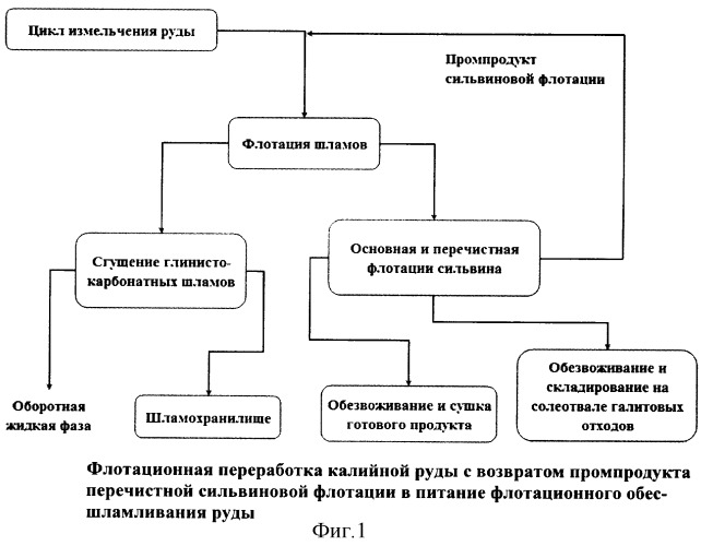 Способ флотационного обогащения калийных руд (патент 2327524)