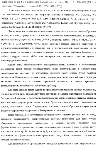 Аминокислотные последовательности, направленные на rank-l, и полипептиды, включающие их, для лечения заболеваний и нарушений костей (патент 2481355)