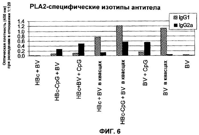 Композиции, содержащие cpg-олигонуклеотиды и вирусоподобные частицы, для применения в качестве адъювантов (патент 2322257)