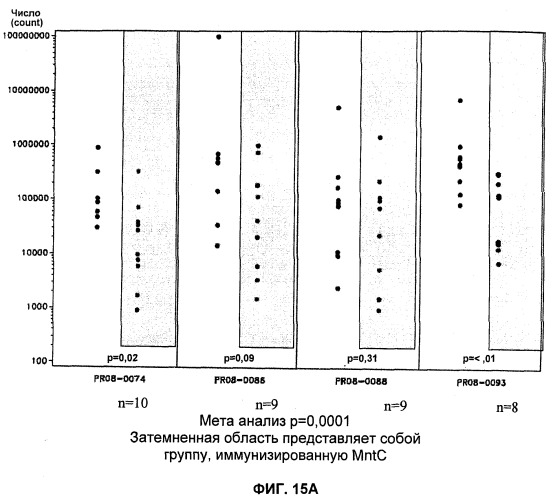 Иммуногенные композиции антигенов staphylococcus aureus (патент 2536981)