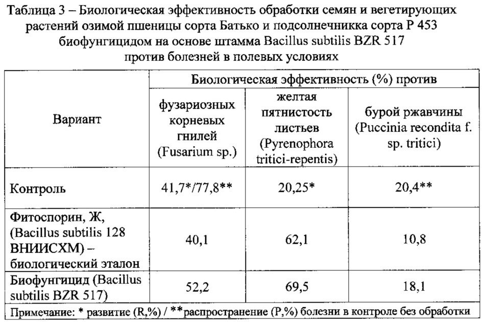 Биофунгицид для защиты сельскохозяйственных культур от болезней и повышения урожайности (патент 2621356)