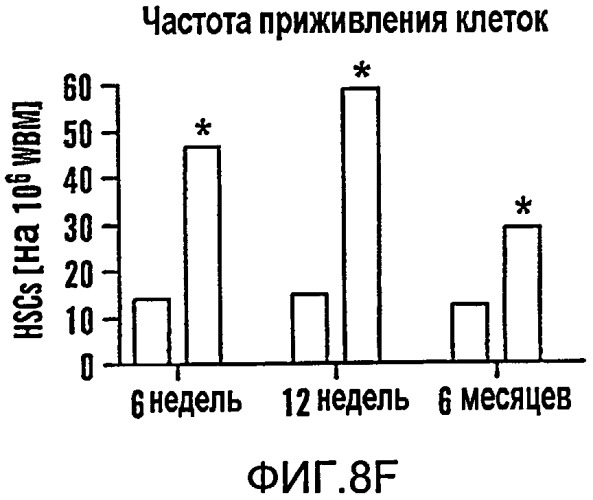 Способ модулирования роста гематопоэтических стволовых клеток (патент 2425876)