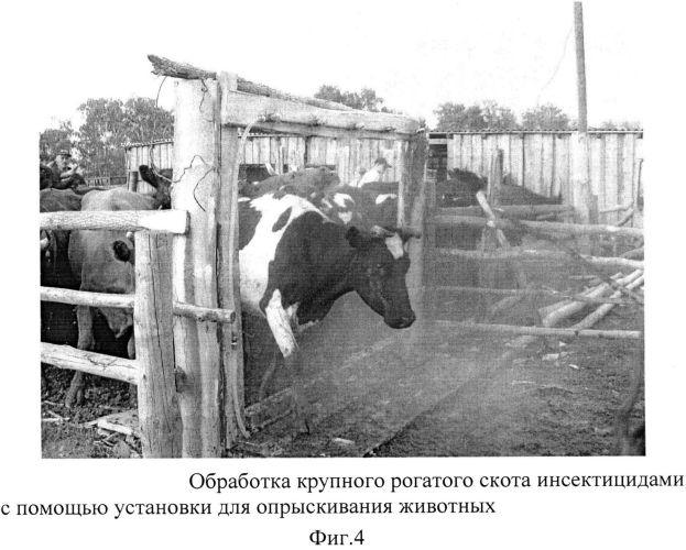 Универсальная установка для опрыскивания животных (патент 2558970)