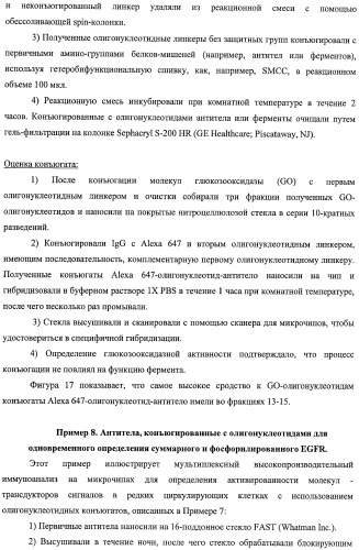 Чипы на основе антител для определения множественных трансдукторов сигналов в редких циркулирующих клетках (патент 2442171)