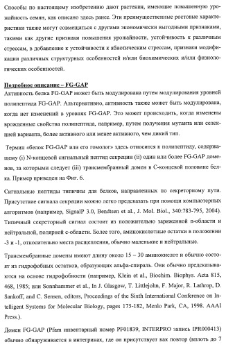 Растения, имеющие улучшенные характеристики роста, и способы их получения (патент 2463352)