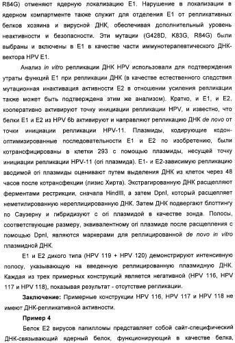 Полинуклеотидная последовательность, кодирующая полипептид вируса папилломы человека, ее применение, а также содержащие ее вектор и фармацевтическая композиция (патент 2354701)