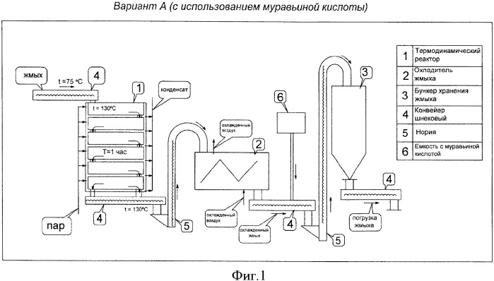 Способ получения белкового корма (варианты) (патент 2360431)