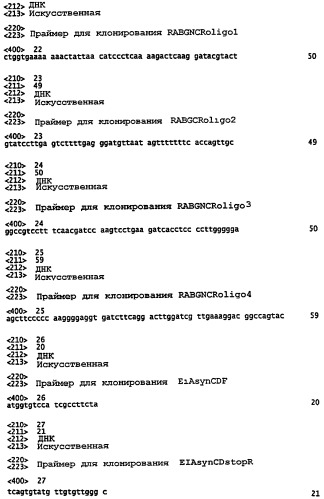 Векторы на основе рекомбинантных вирусов отряда mononegavirales (патент 2435857)