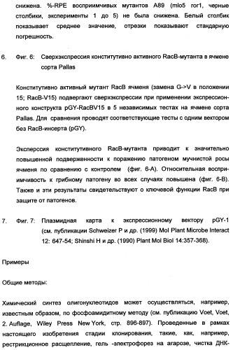Новые последовательности нуклеиновых кислот и их применение в способах достижения устойчивости к патогенам в растениях (патент 2346985)