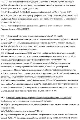 Использование фосфокетолазы для продукции полезных метаболитов (патент 2322496)