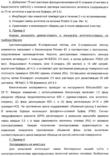 Использование уреазы для ингибирования роста раковых клеток (патент 2326691)