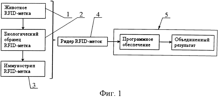 Система экспресс-диагностики и rfid-идентификации биологических объектов (патент 2565422)