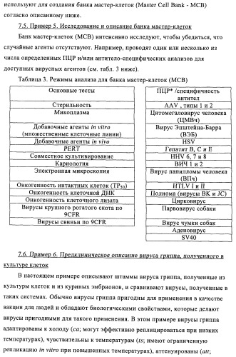 Способы и композиции для экспрессии антисмысловой вирусной рнк в клетках собаки (патент 2457250)