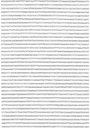 Применение s1p (патент 2362565)